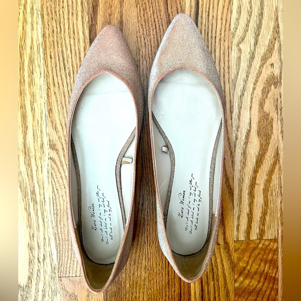 Zara Pointed Ballet Flats -sz 37 - Champagne Gold